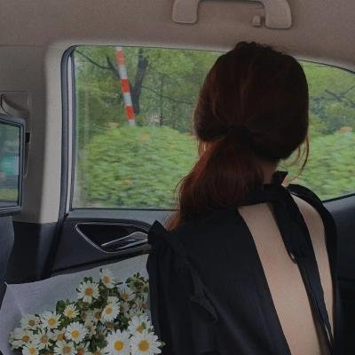 八十龟酱观察日记第二季