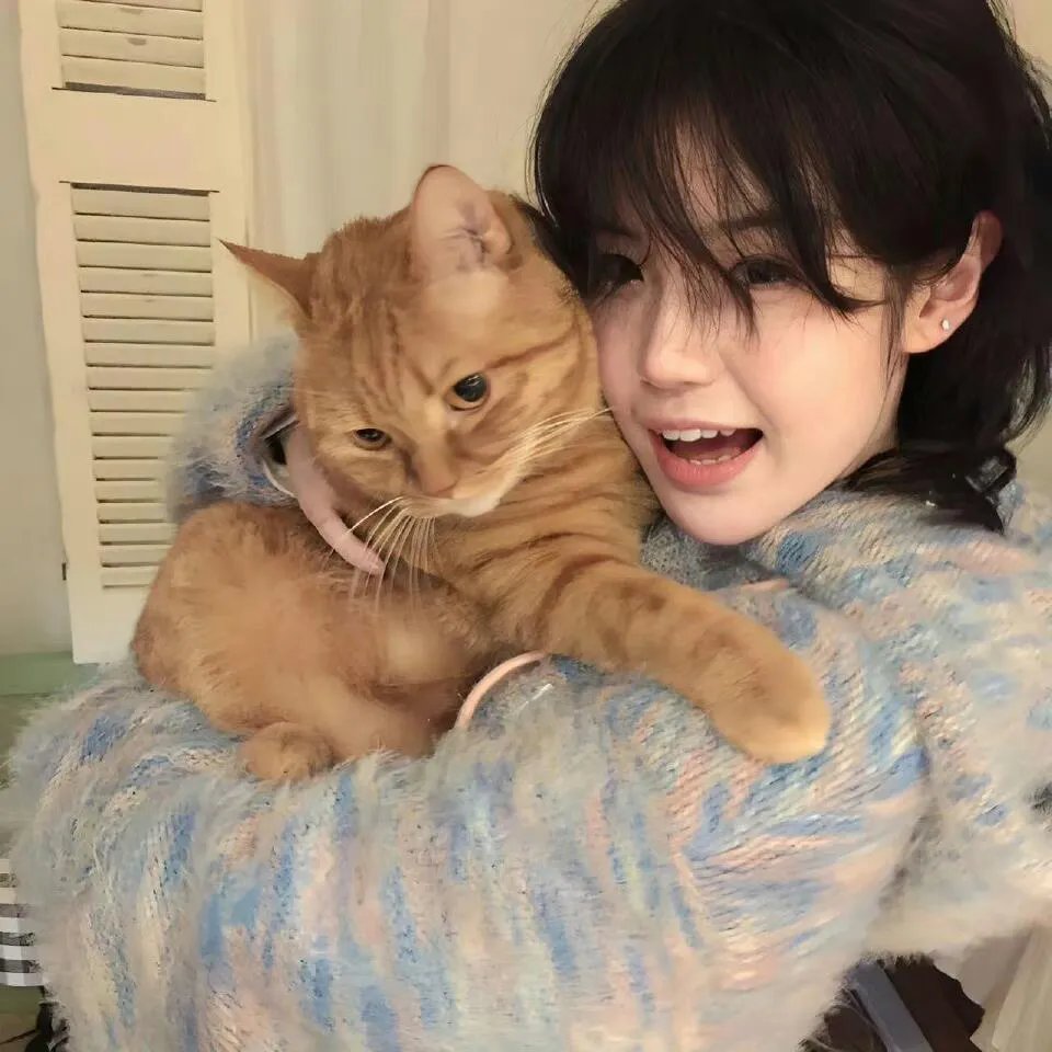 星卡梦少女1花语笔记